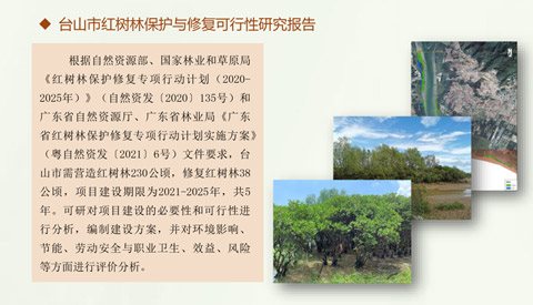 臺山市紅樹林保護(hù)與修復(fù)可行性研究報告